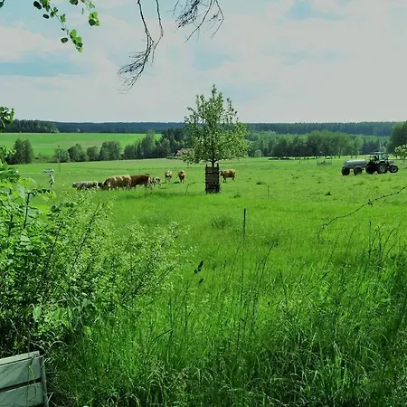 Lejlighed Modernes Mit Traumhaftem Blick Ins Gruene