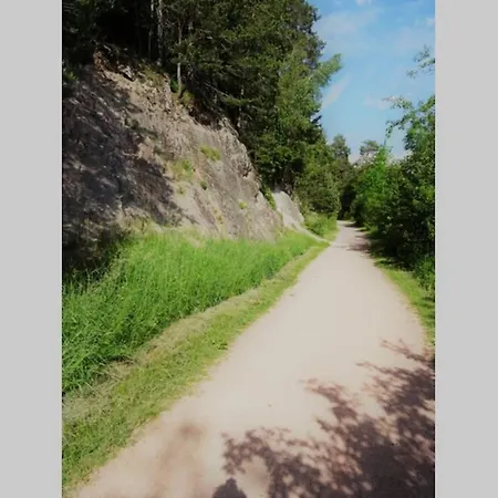 Lägenhet Modernes Mit Traumhaftem Blick Ins Gruene Bräunlingen
