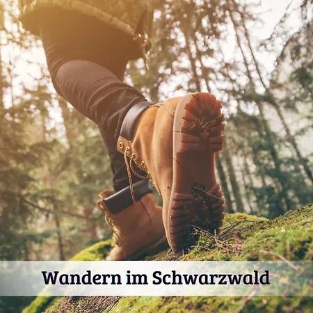 Modernes Mit Traumhaftem Blick Ins Gruene * Bräunlingen